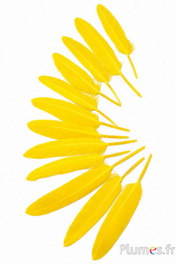 Gans - 10-15 cm - geel